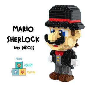 NanoBricks - Mario Sherlock